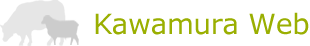 Kawamura Web Logo